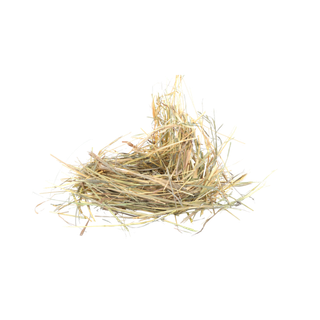 Hay
