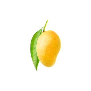Mango Blossom