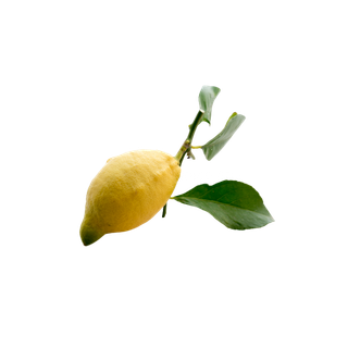 Sicilian Lemon