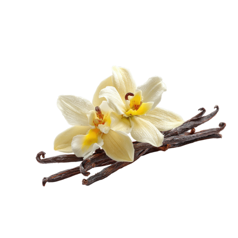 Vanilla