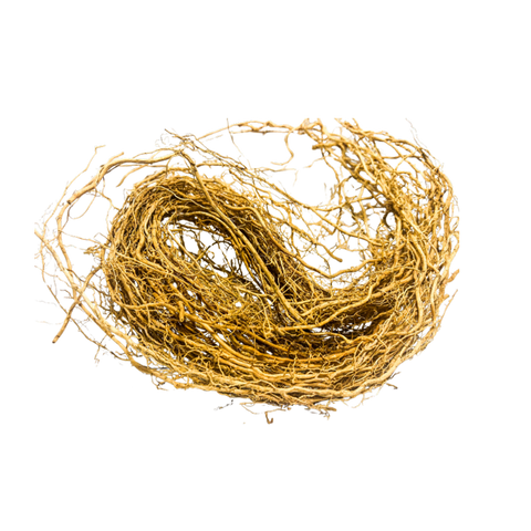 Vetiver