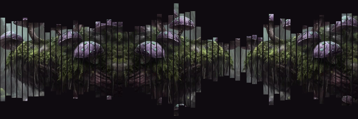 KODAI SHROOMS