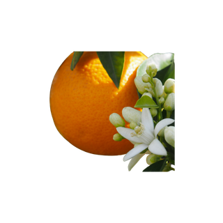 Tunisian Orange Blossom