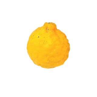 Yellow Mandarin